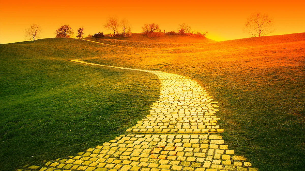 Yellow brick road the wizard of oz