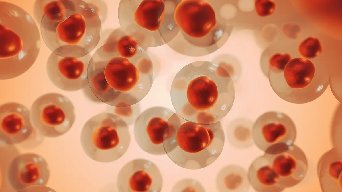 red light therapy melanoma cells