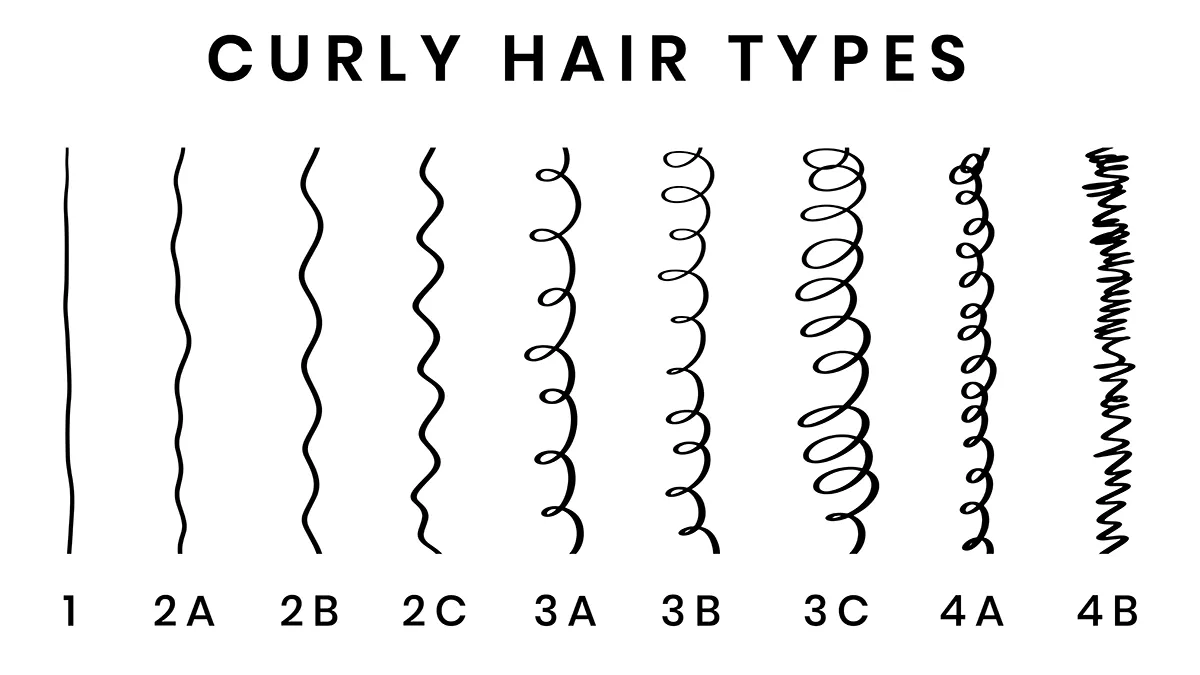 A basic depictoin of curl types