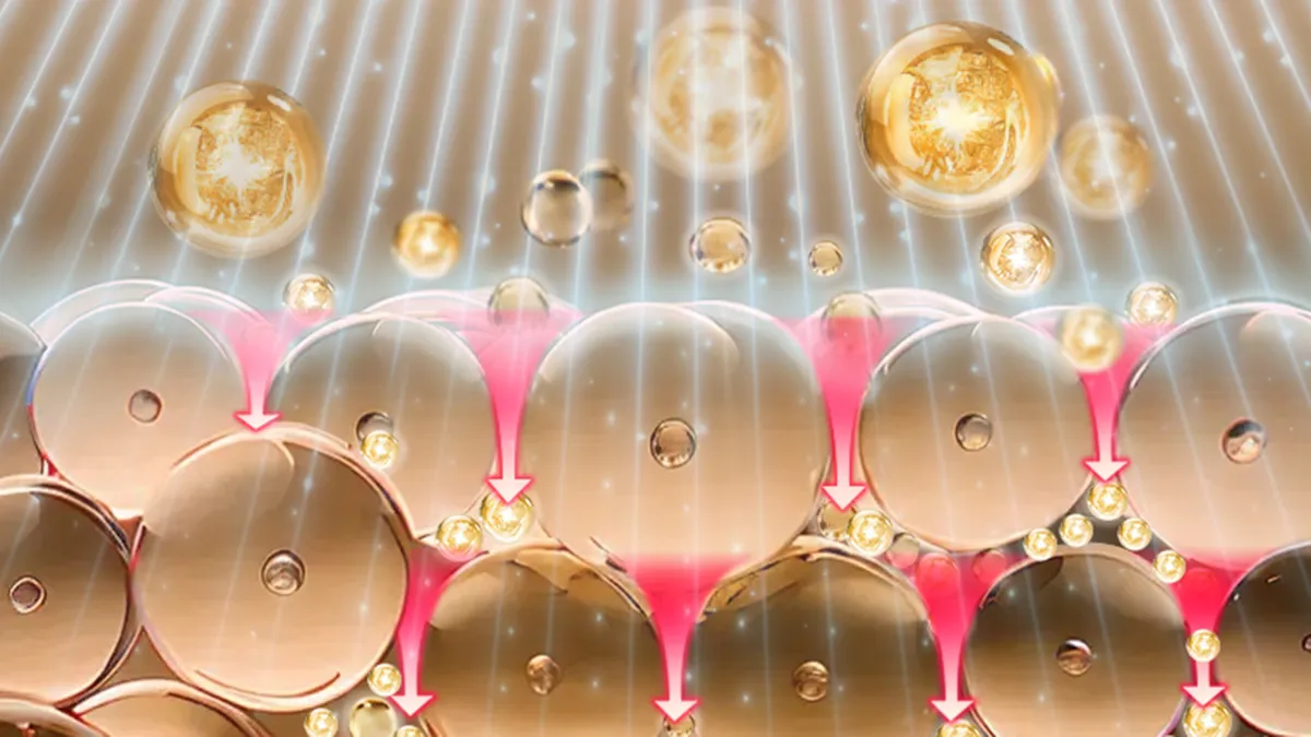 FAQ 402 electroporation skincare absorption