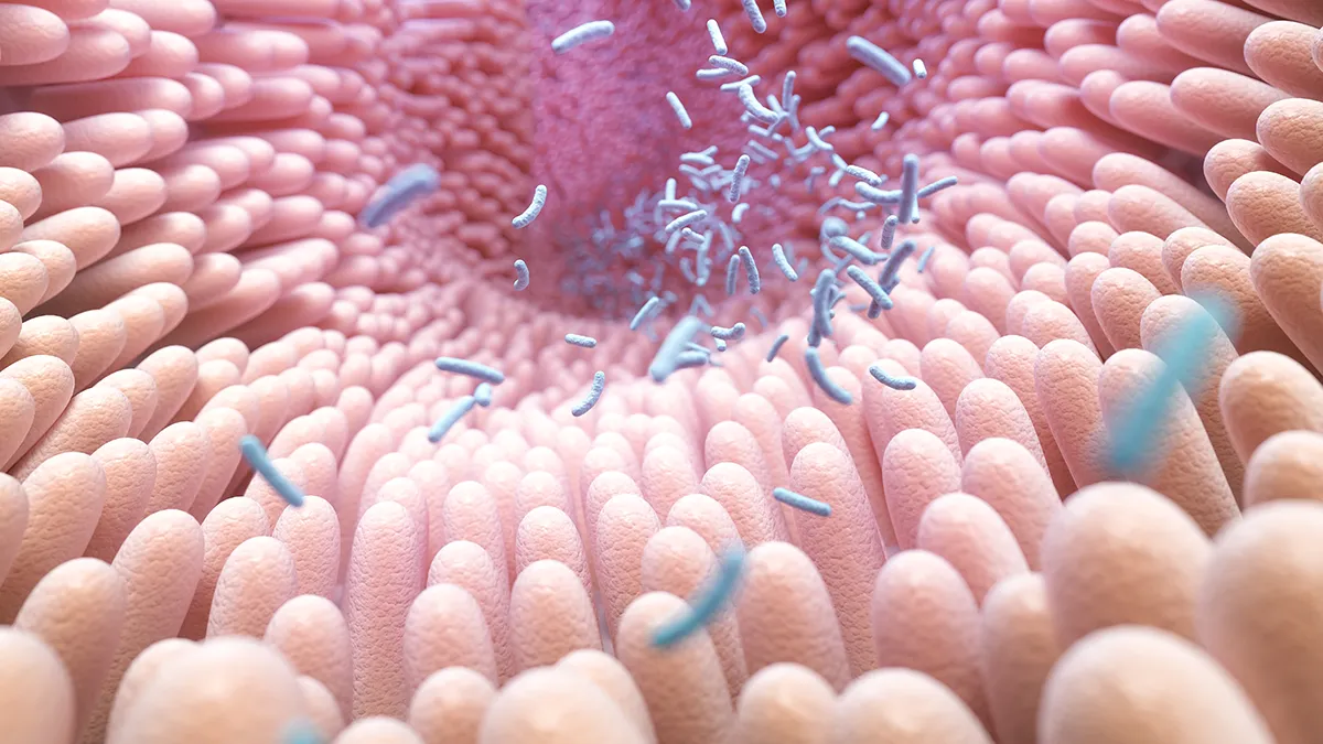 A depiction of intestinal villi and gut microbiome 