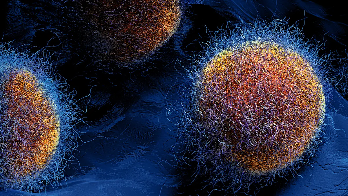 gut microbiome depiction