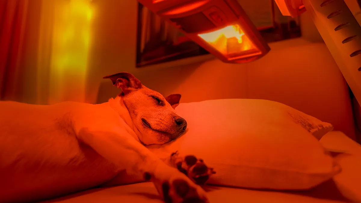 how to use red light therapy for sleep