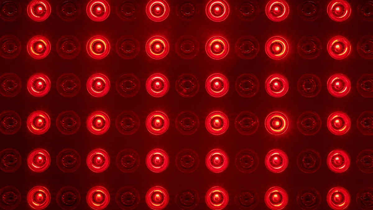 Closeup of a red light therapy panel LED's