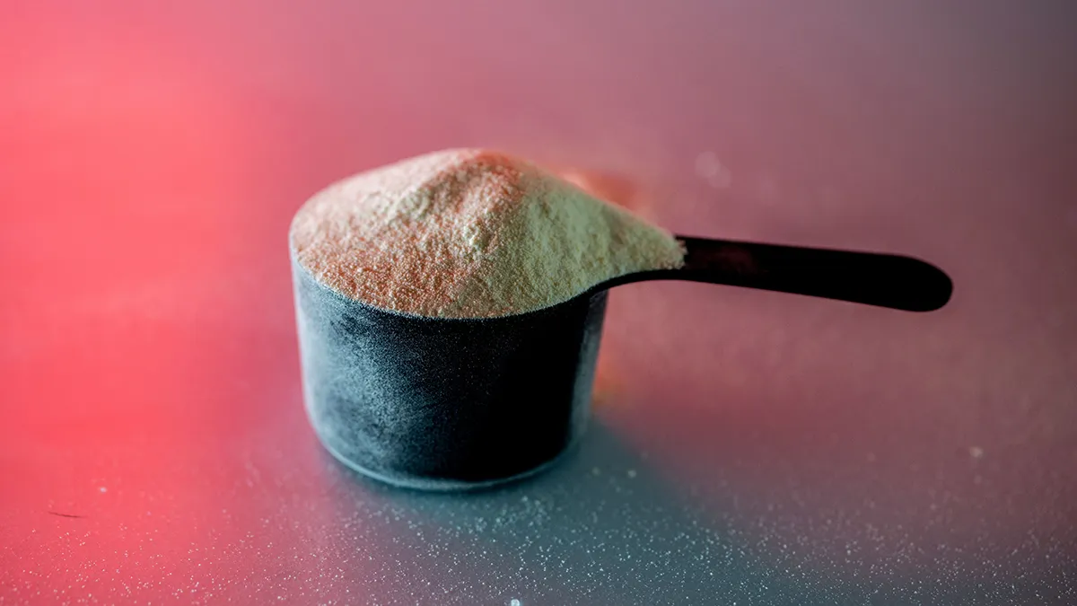 creatine powder in a scoop