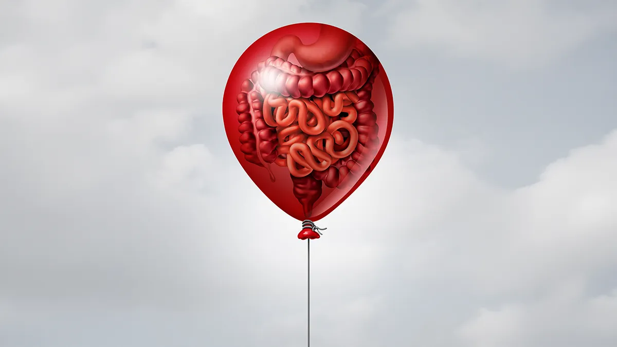 A drawing of an inflated baloon with guts inside it