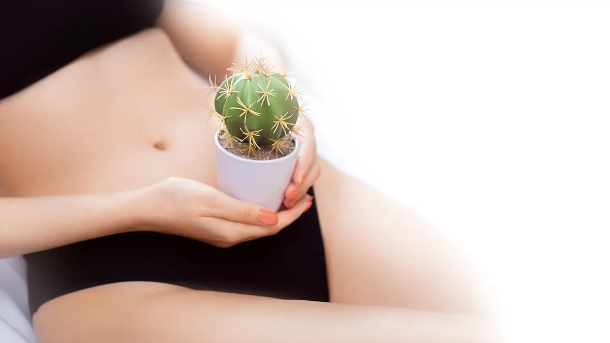 bikini depilation