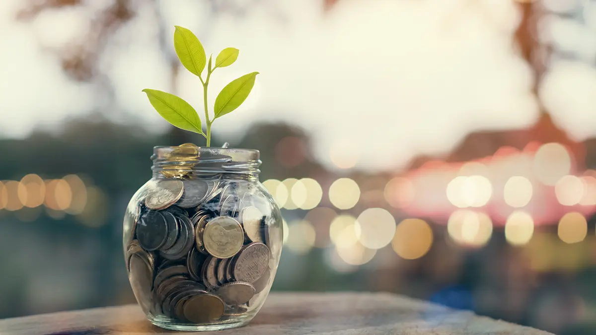 A jar filled with coins and a plant growing from it, insinuating growing savings