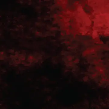 A blotchy dark surface under red light