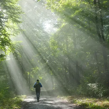 A man walking through deep forest