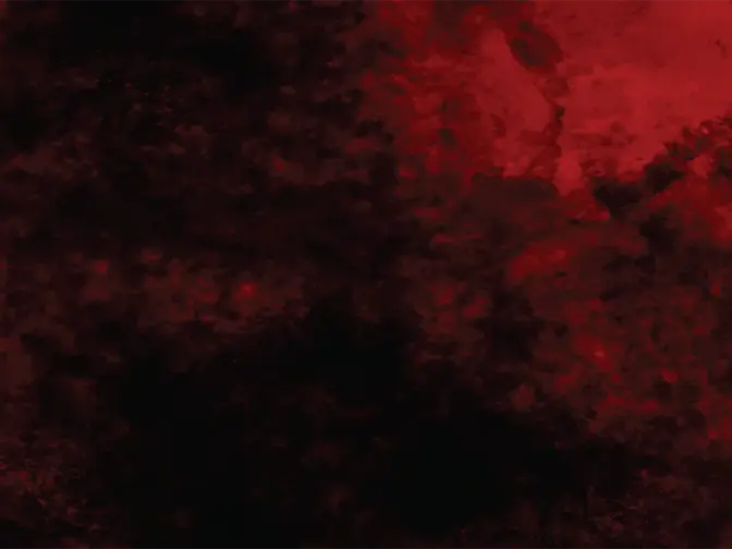 A blotchy dark surface under red light