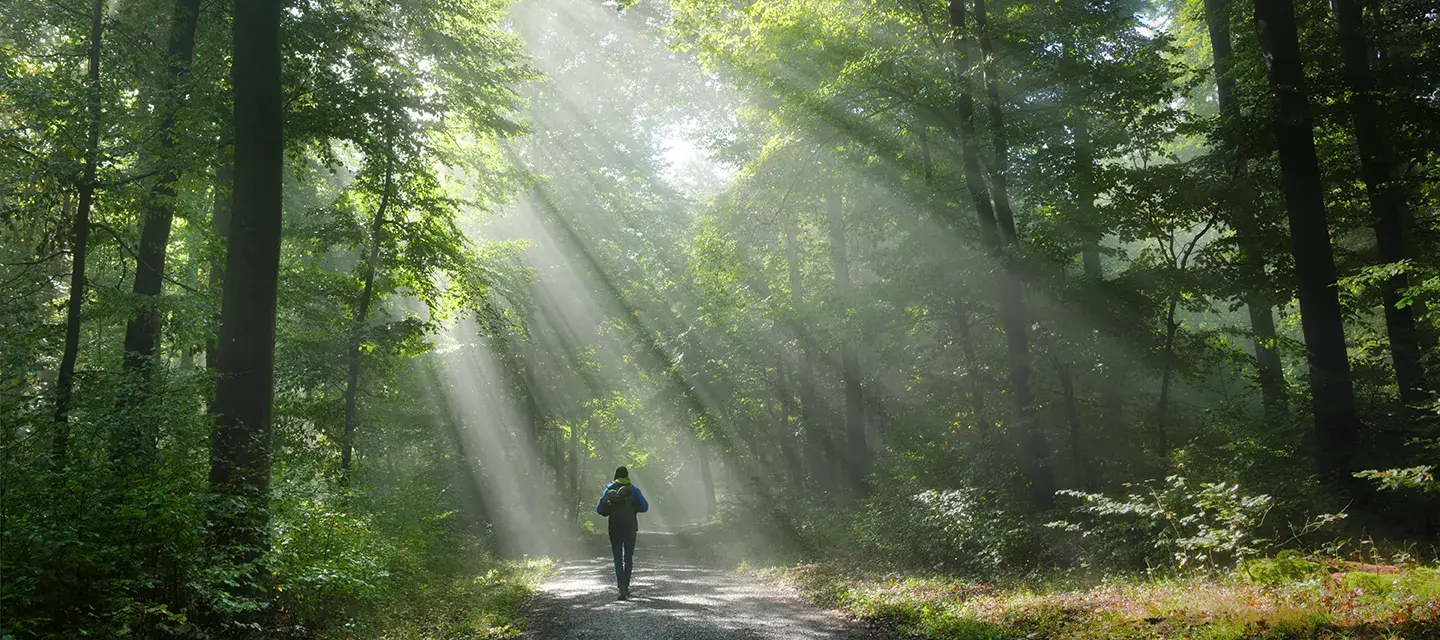 A man walking through deep forest