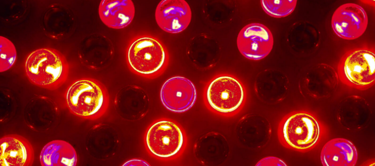 LUZ LED ROJA