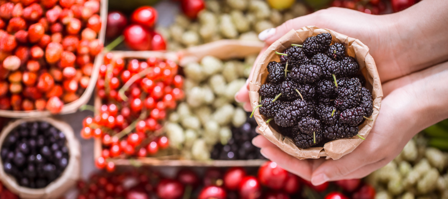 antioxidantes piel