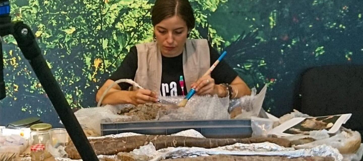 Irina Fernández, conservadora y restauradora en plena realización de su trabajo Irina Fernández, conservadora y restauradora