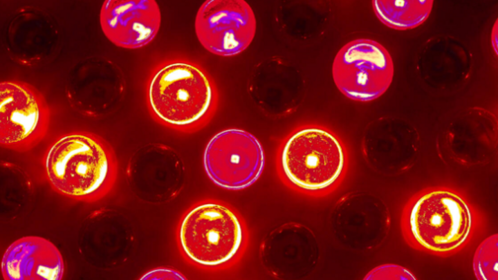 LUZ LED ROJA