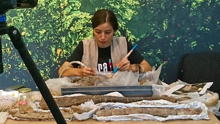 Irina Fernández, conservadora y restauradora