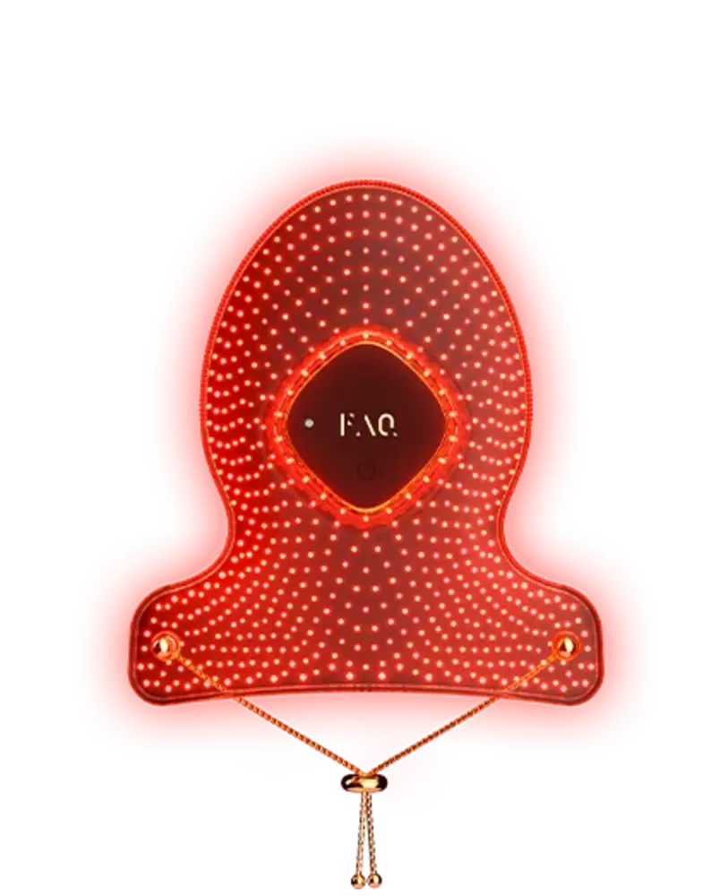 FAQ 221 289$